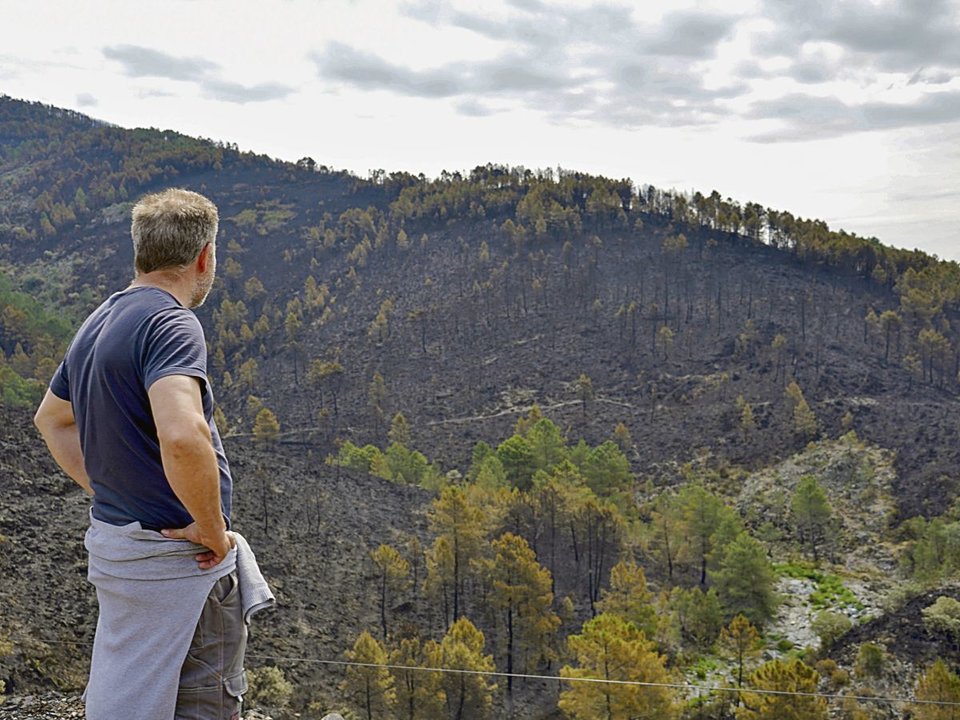 Un hombre observa los efectos un incendio en la comarca cacereña de Las Hurdes.