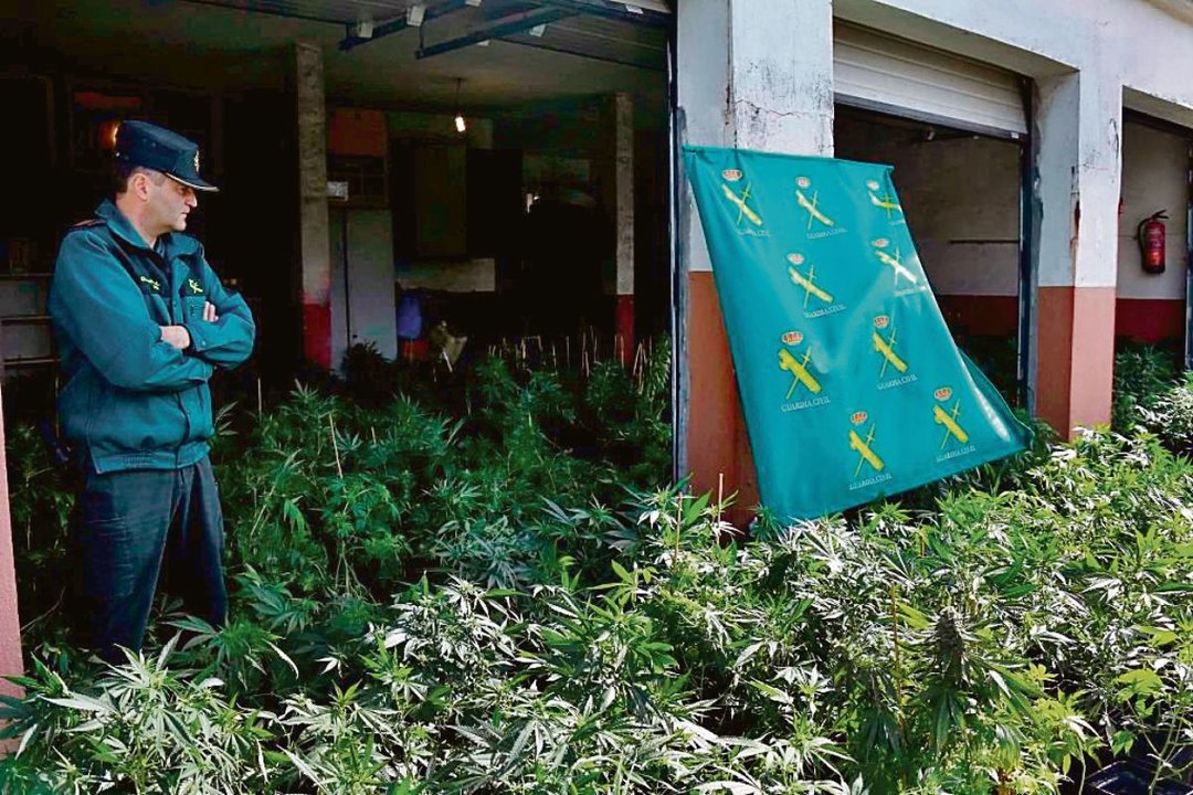 La Guardia Civil, en la vivienda donde se encontraba la ‘macroplantación’ de marihuana.
