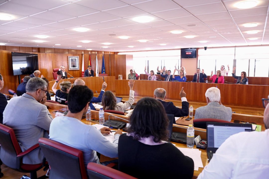 El Pleno municipal del Concello de Vigo esta mañana. // Jorge Santomé
