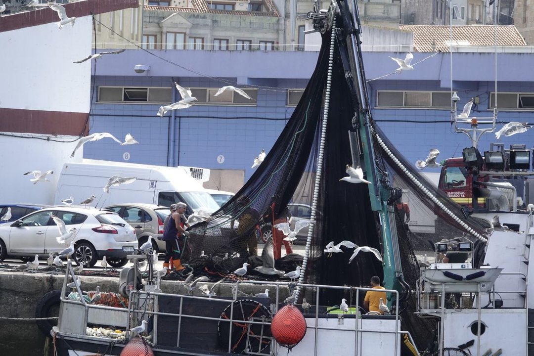 Marineros descargando el pescado de un barco en el puerto de Vigo.