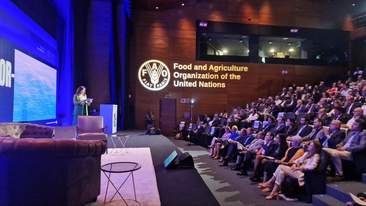 El congreso de la FAO celebrado en la sede Afundación de Vigo. // J.V. Landín