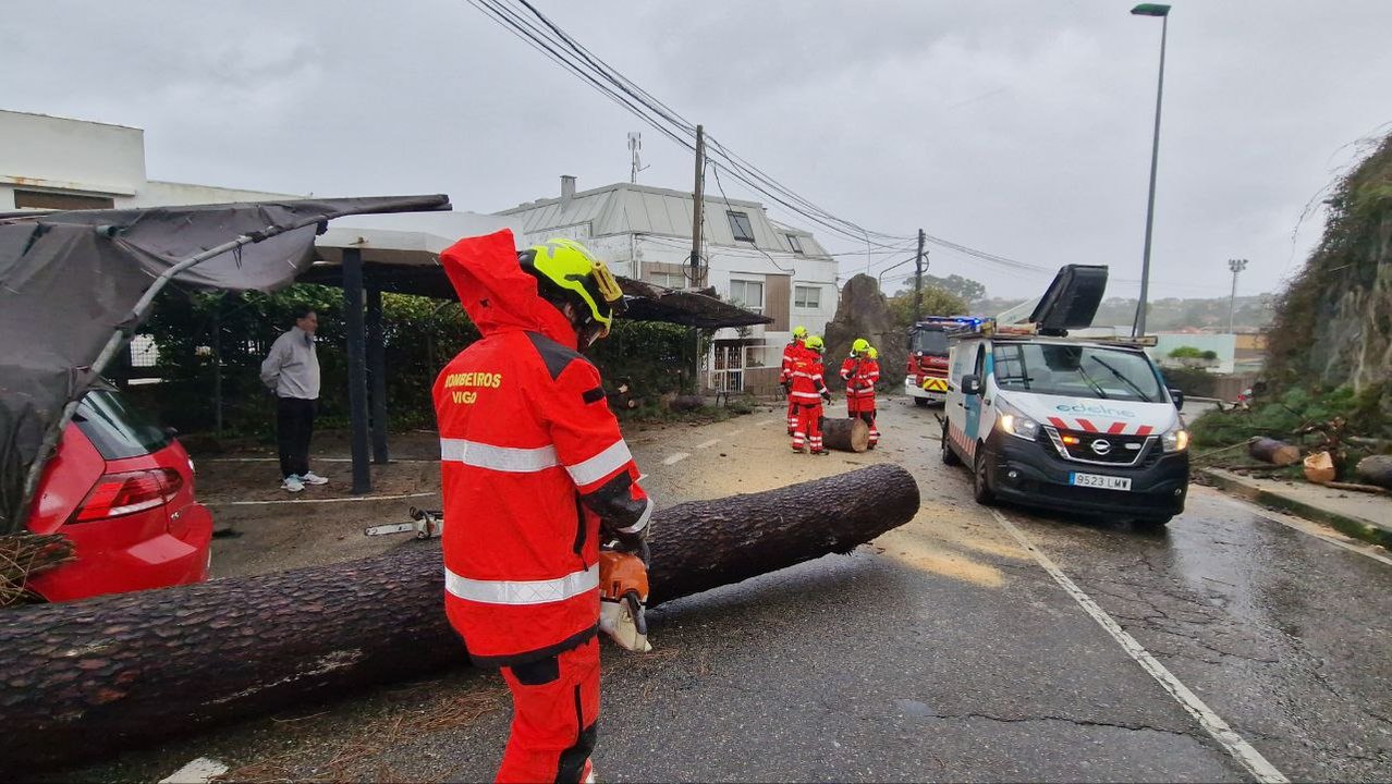 Los bomberos talan un árbol que obstruyó la carretera de Canido. // J.V. Landín