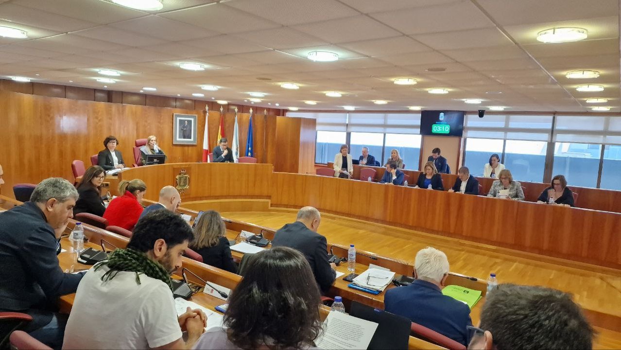Pleno del Concello de Vigo del 27 de noviembre. // J.V. Landín