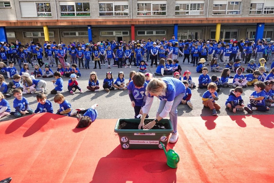 O CEIP Pintor Laxeiro organizou un acto simbólico onde os máis cativos “sementaron o galego” para que florezca no futuro.