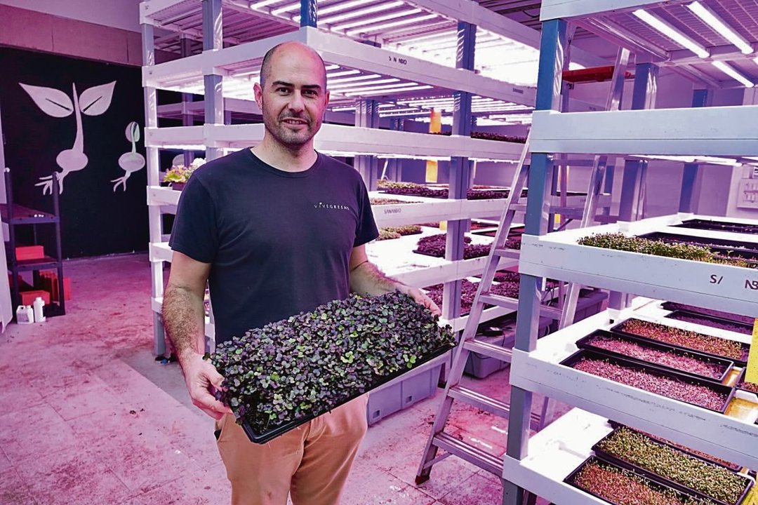 Francisco Quinzán, cofundador de la empresa, muestra los microbrotes vegetales que cultiva en interior.