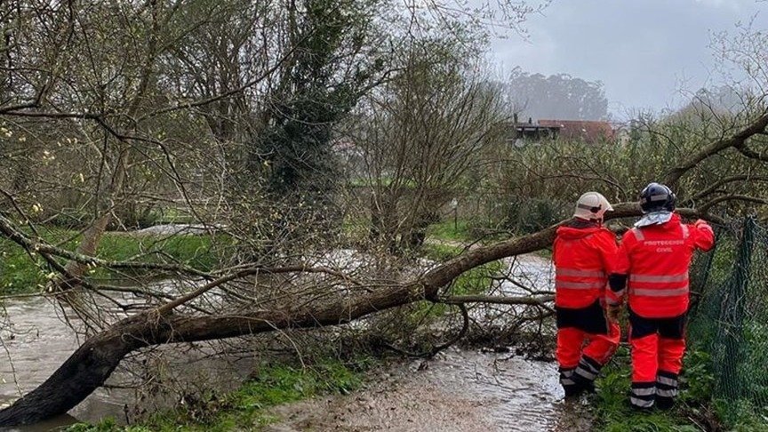 Operarios trabajando en la retirada del árbol caído en el paseo del río Maceiras.