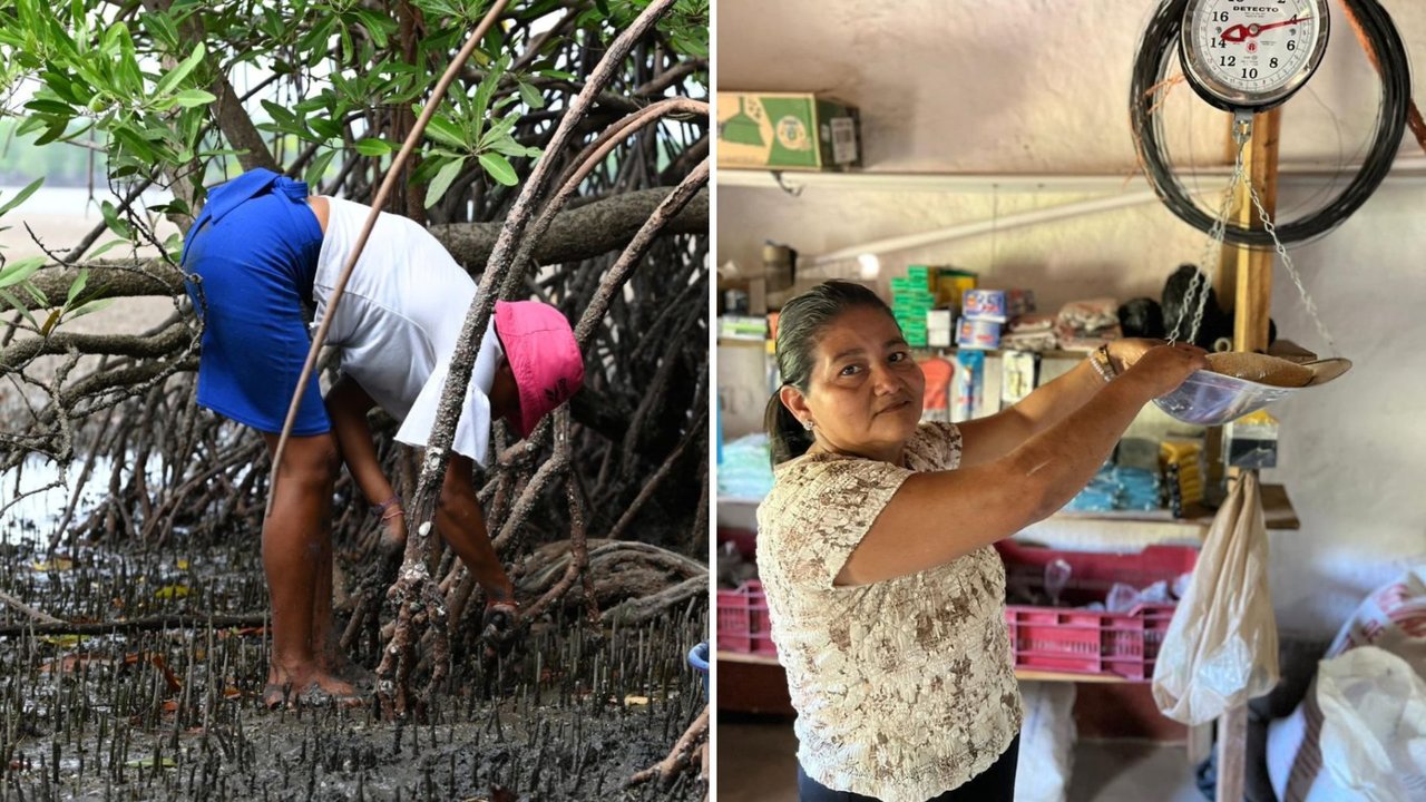 Mariela (a la izquierda) marisqueando en Honduras; Verónica (derecha) pesando el fruto recolectado.