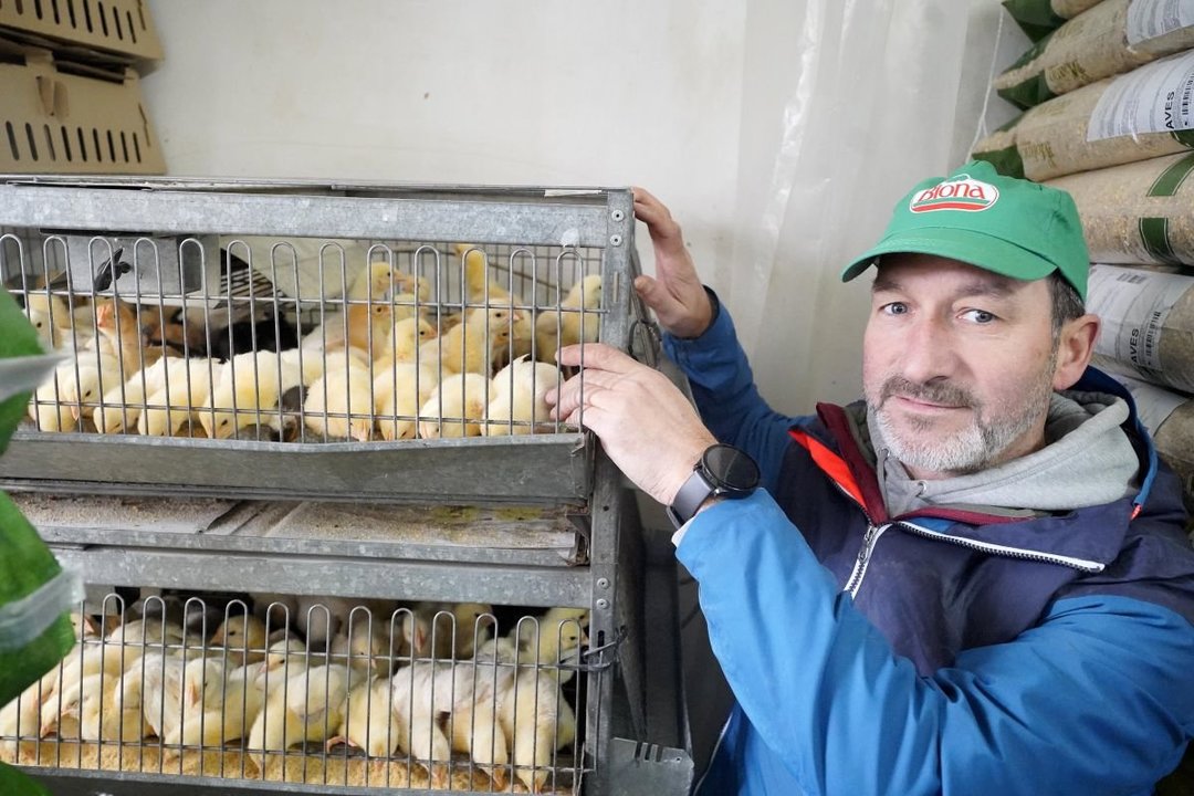 Un vendedor de pollitos y piensos de Vigo, que ha notado la disminución de ventas con las nuevas exigencias normativas.