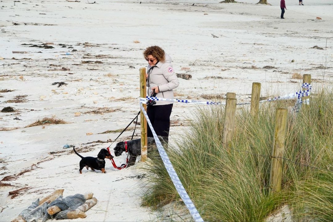 Una mujer pasea a sus mascotas en la playa de O Vao.