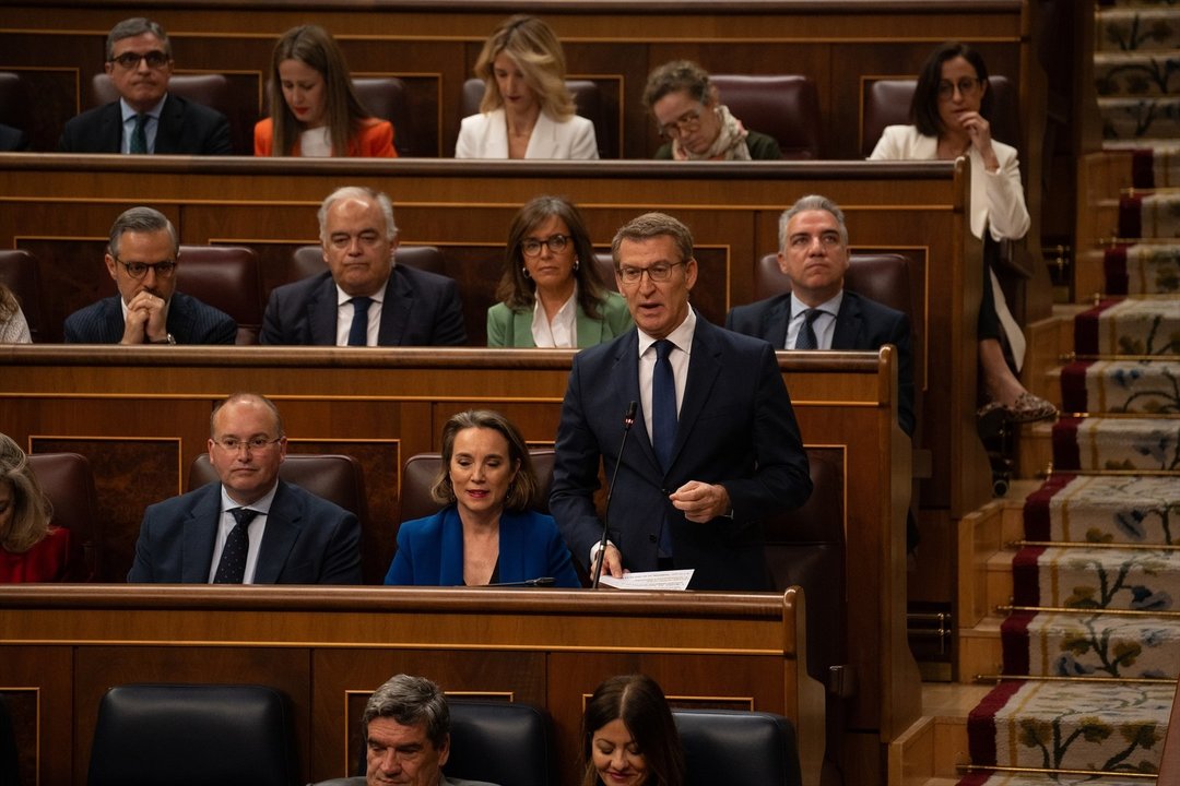 El presidente del PP, Alberto Núñez Feijóo, en el Congreso. // Europa Press