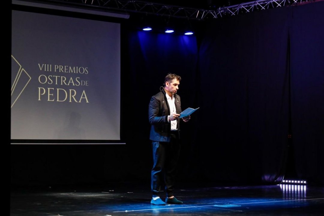Un instante de la gala celebrada ayer en el auditorio del CIFP Audiovisual de Vigo.