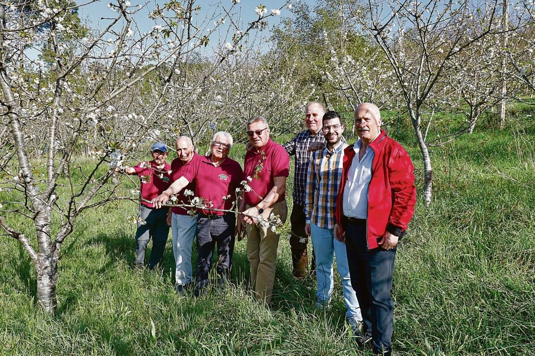 Miembros de la Asociación de Vecinos y de la Comunidad de Montes posan en una de las mayores plantaciones de cerezos de Beade.