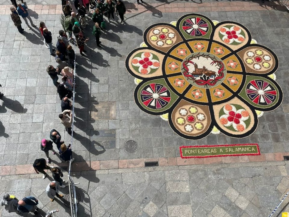Alfombra inspirada en el ‘botón charro’ para el Paso de la Borriquita, el Domingo de Ramos, en Salamanca.