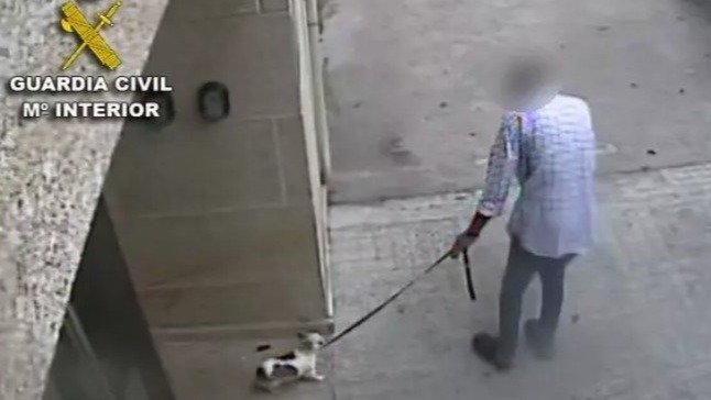 El acusado que mató a su perra en Baiona.